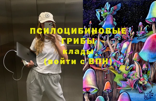 мяу мяу мука Балахна